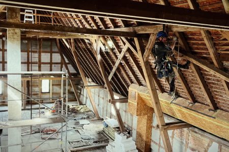 Schädlingsabwehr - Höhenarbeiten und Industrieklettern in Thüringen